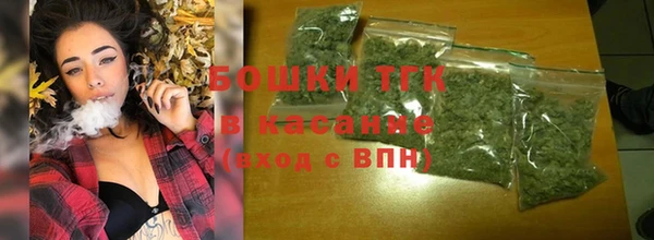 гашик Алексин