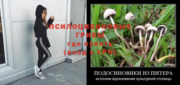 мет Арсеньев
